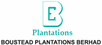 Share boustead price plantation BSTEAD Stock